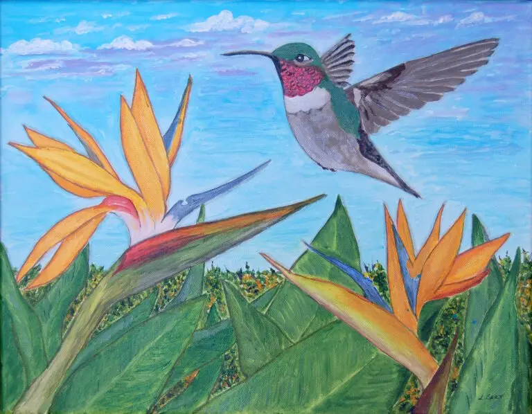 Tropical bliss hummingbird